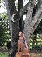 e. Moon Gazing Hare.jpg